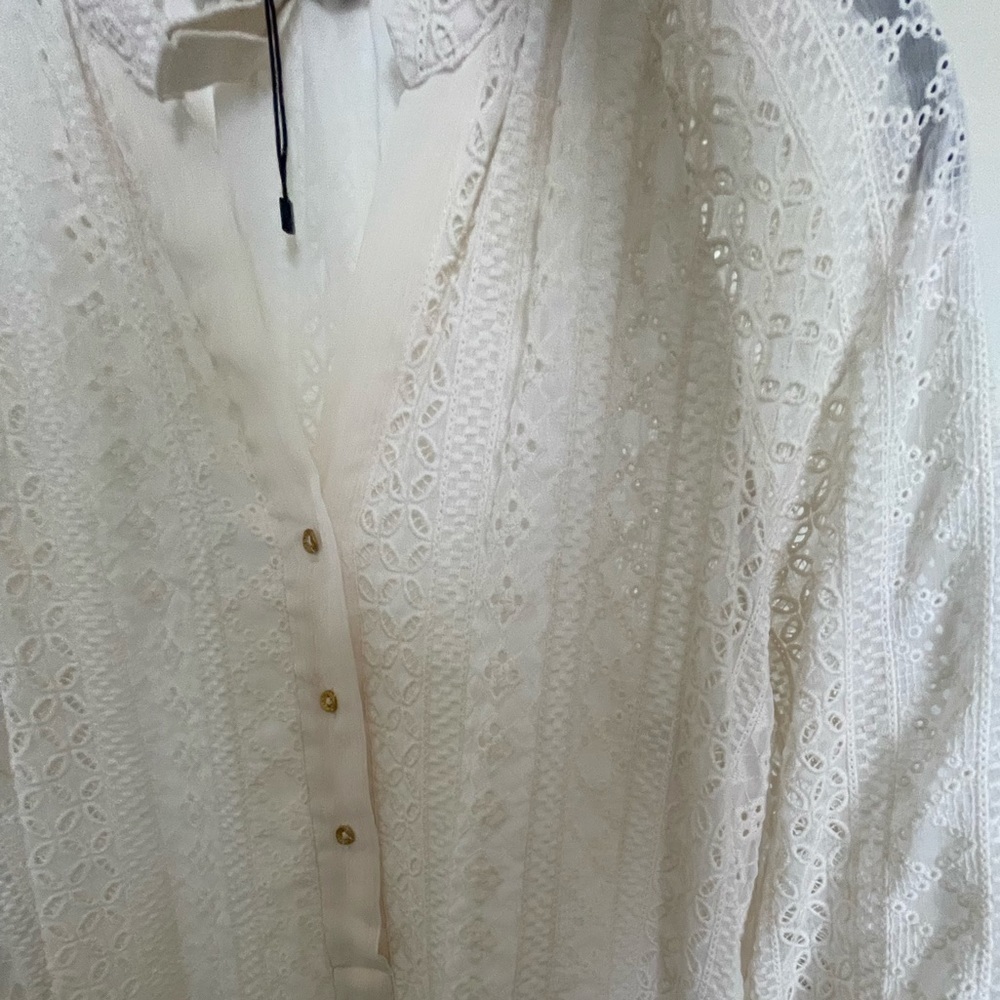 Zara Openwork Embroidery Dress - Picture 11 of 11